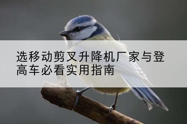 汶川电动升降机厂家-选移动剪叉升降机厂家与登高车必看实用指南