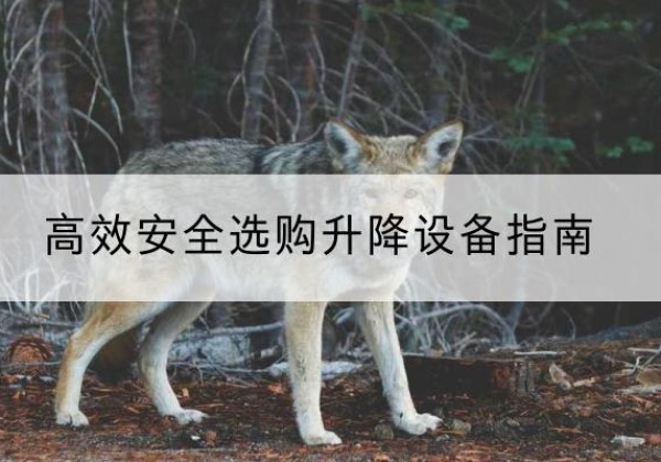 汶川升降货梯厂家推荐-*安全选购升降设备指南